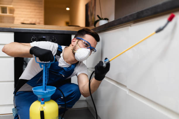 Best Flea Control Services  in Plattsmouth, NE