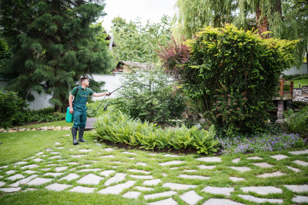 Best Residential Pest Control  in Plattsmouth, NE