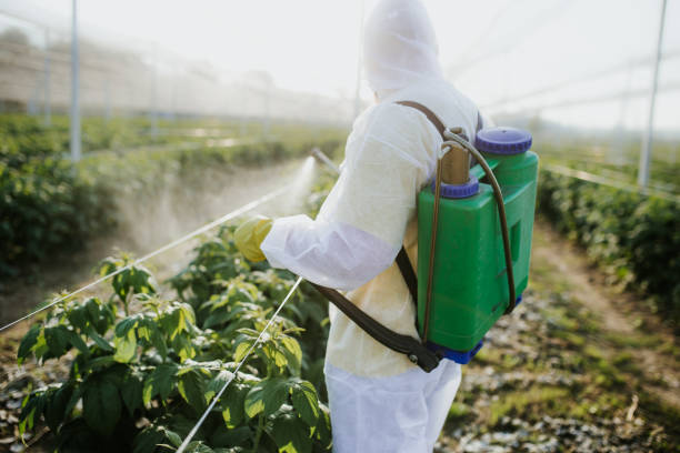 Best Pest Control Near Me  in Plattsmouth, NE